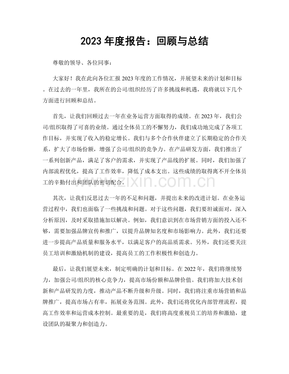 2023年度报告：回顾与总结.docx_第1页