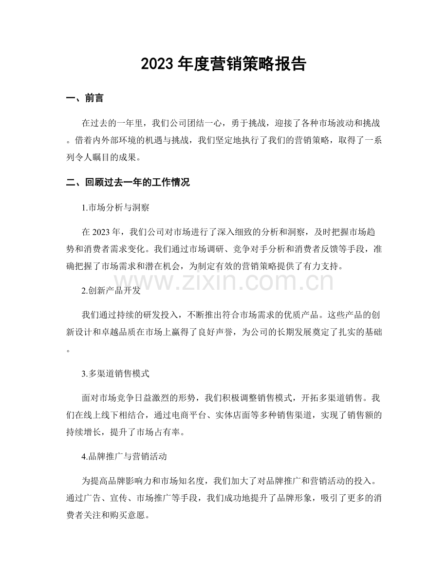 2023年度营销策略报告.docx_第1页
