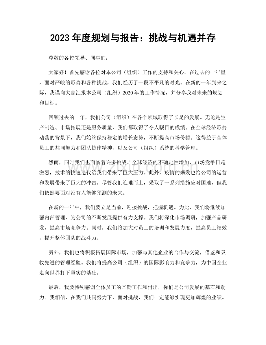 2023年度规划与报告：挑战与机遇并存.docx_第1页