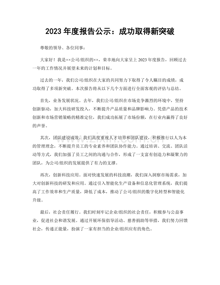 2023年度报告公示：成功取得新突破.docx_第1页