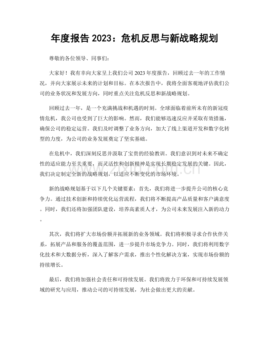年度报告2023：危机反思与新战略规划.docx_第1页