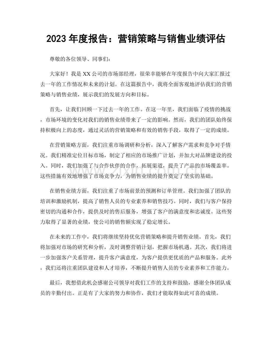 2023年度报告：营销策略与销售业绩评估.docx_第1页
