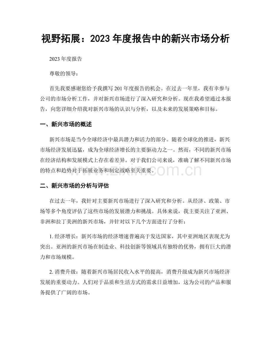 视野拓展：2023年度报告中的新兴市场分析.docx_第1页