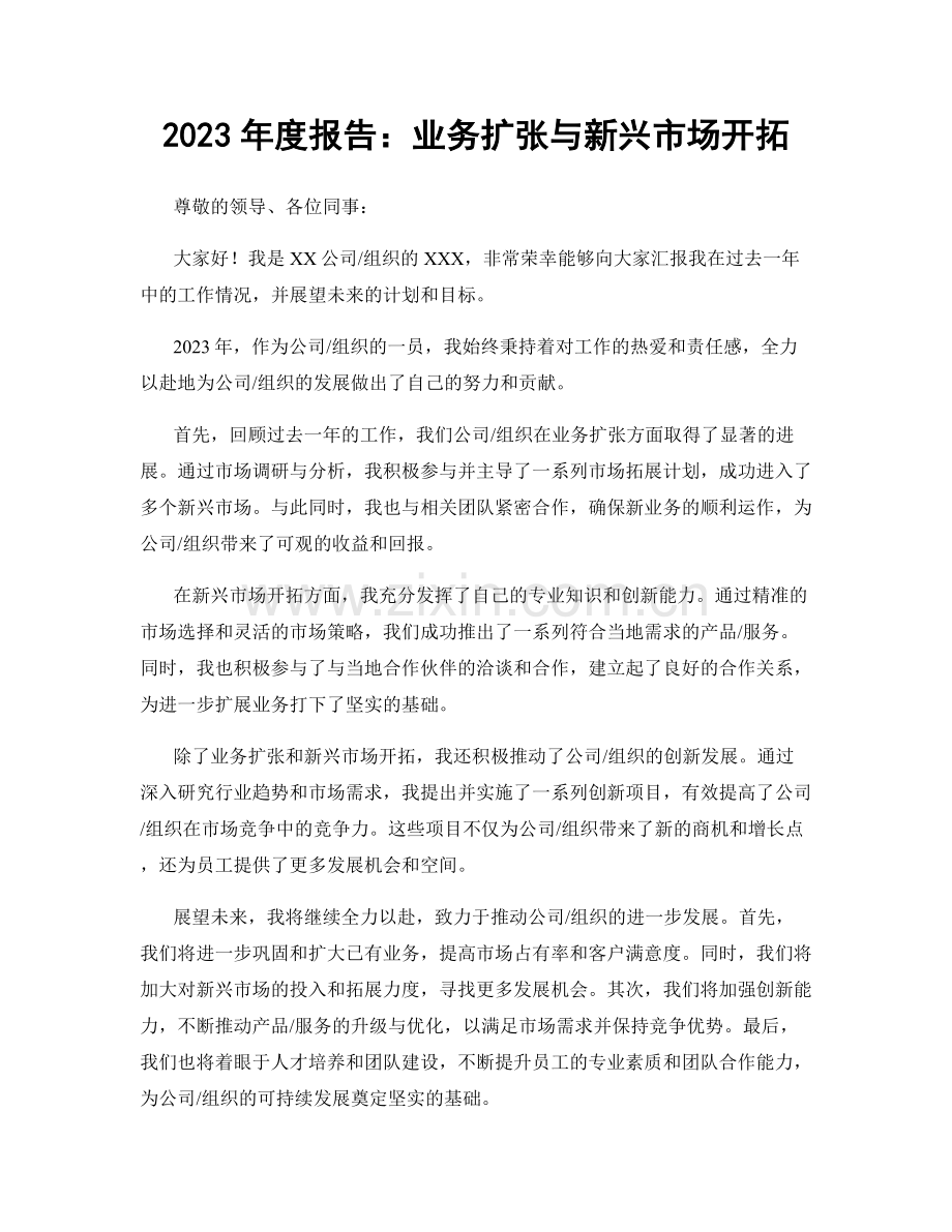 2023年度报告：业务扩张与新兴市场开拓.docx_第1页