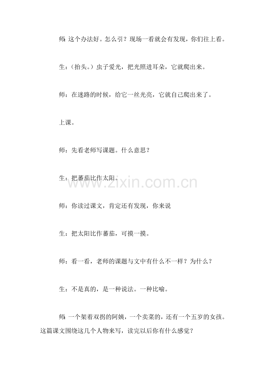 教学实录——《“番茄太阳”》2.doc_第2页