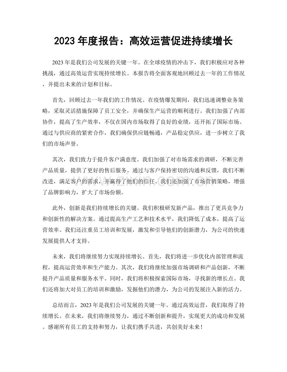 2023年度报告：高效运营促进持续增长.docx_第1页