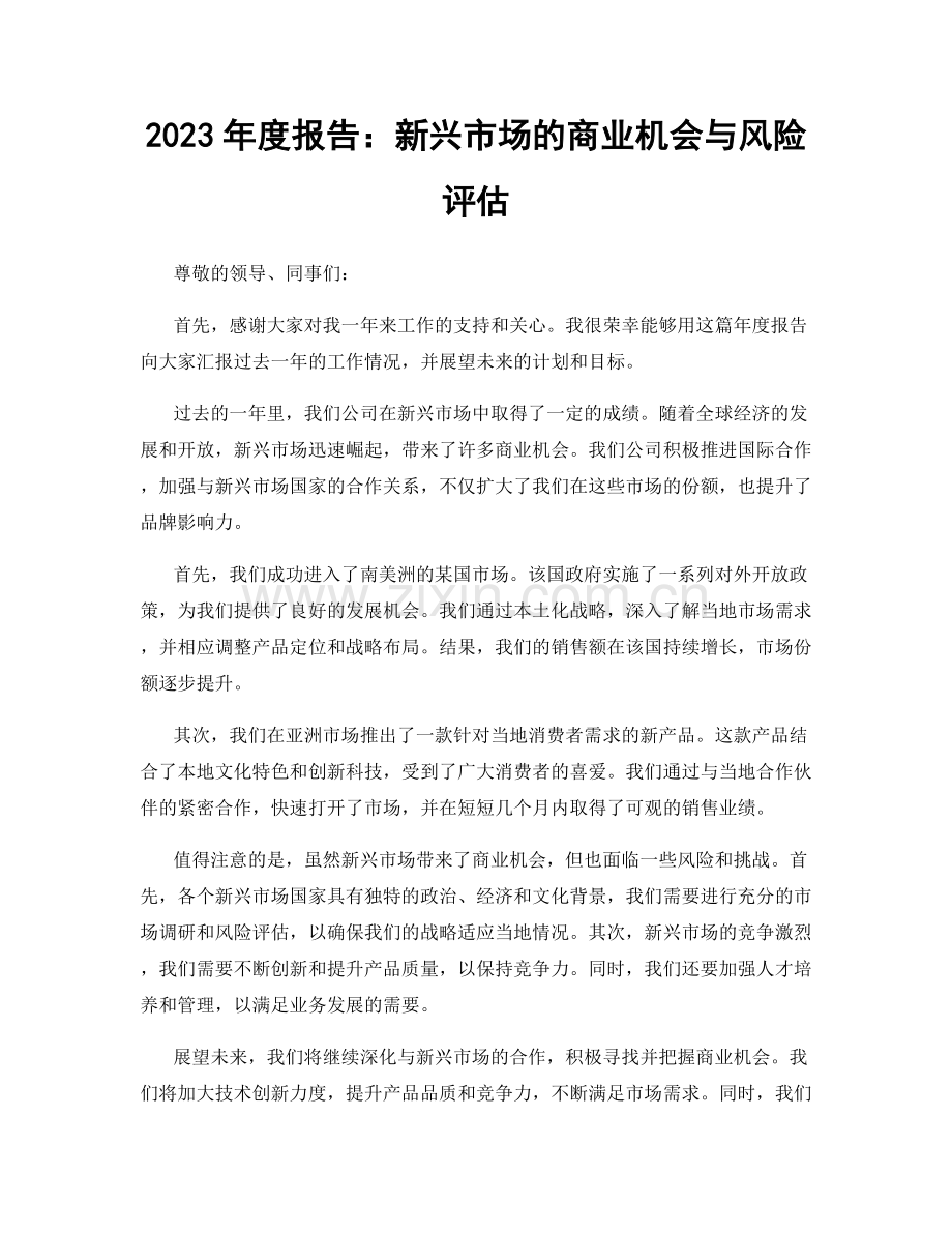 2023年度报告：新兴市场的商业机会与风险评估.docx_第1页