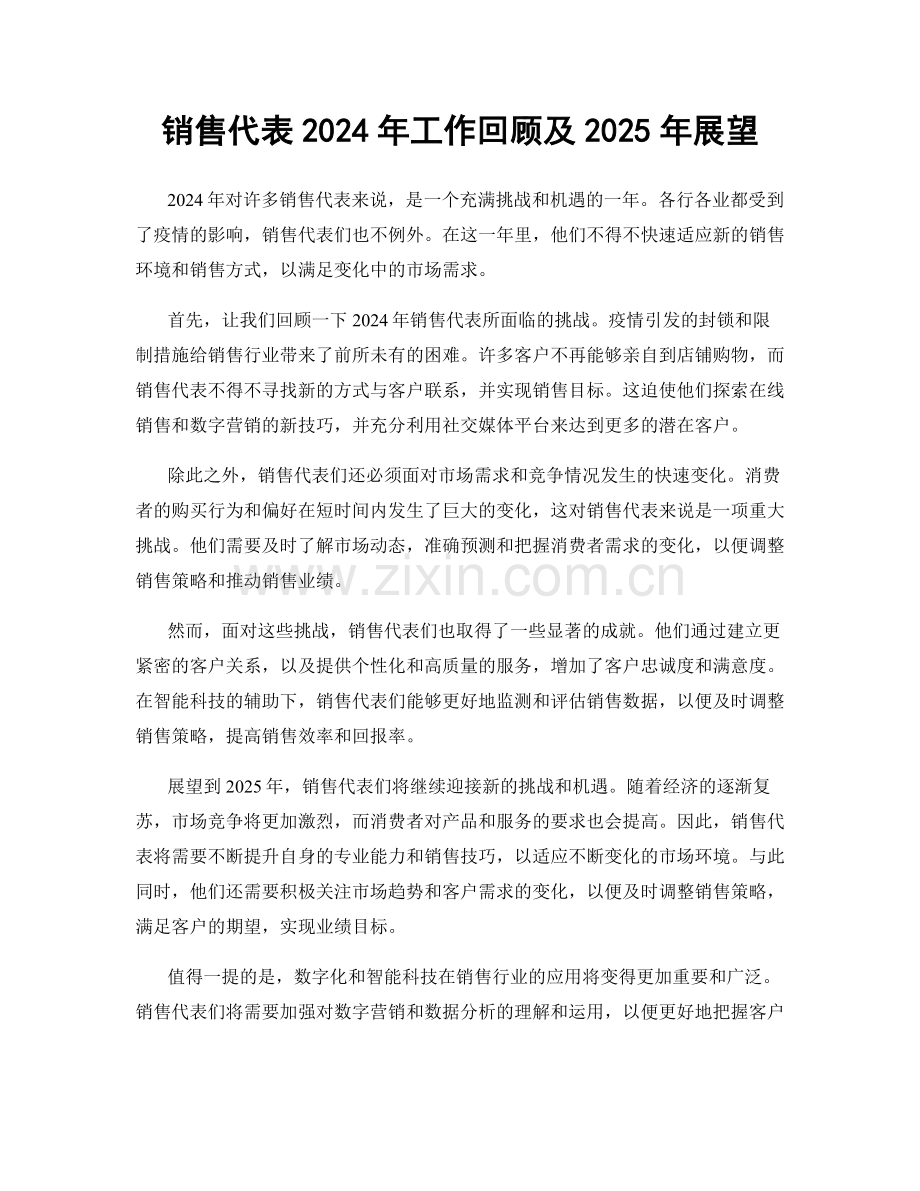 销售代表2024年工作回顾及2025年展望.docx_第1页