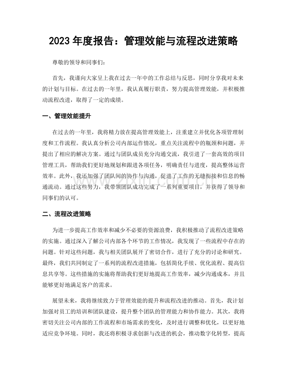 2023年度报告：管理效能与流程改进策略.docx_第1页