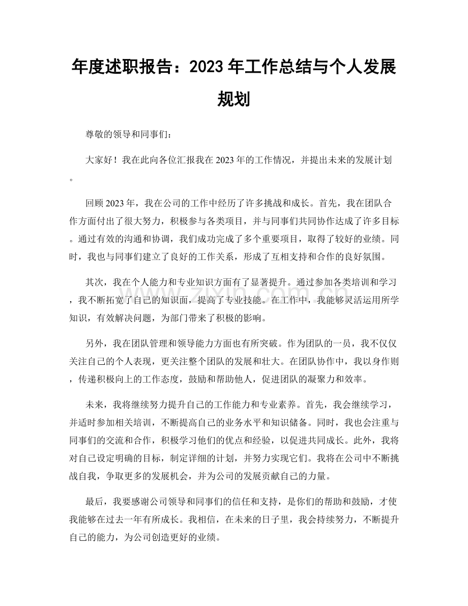 年度述职报告：2023年工作总结与个人发展规划.docx_第1页