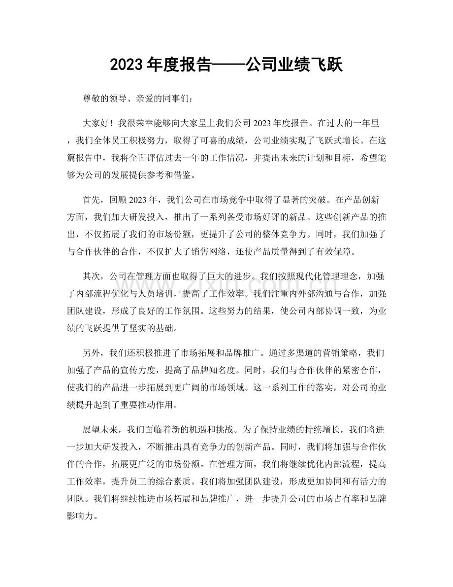 2023年度报告——公司业绩飞跃.docx_第1页