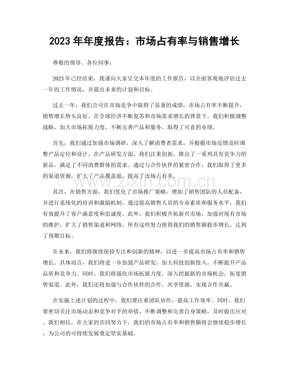 2023年年度报告：市场占有率与销售增长.docx_第1页