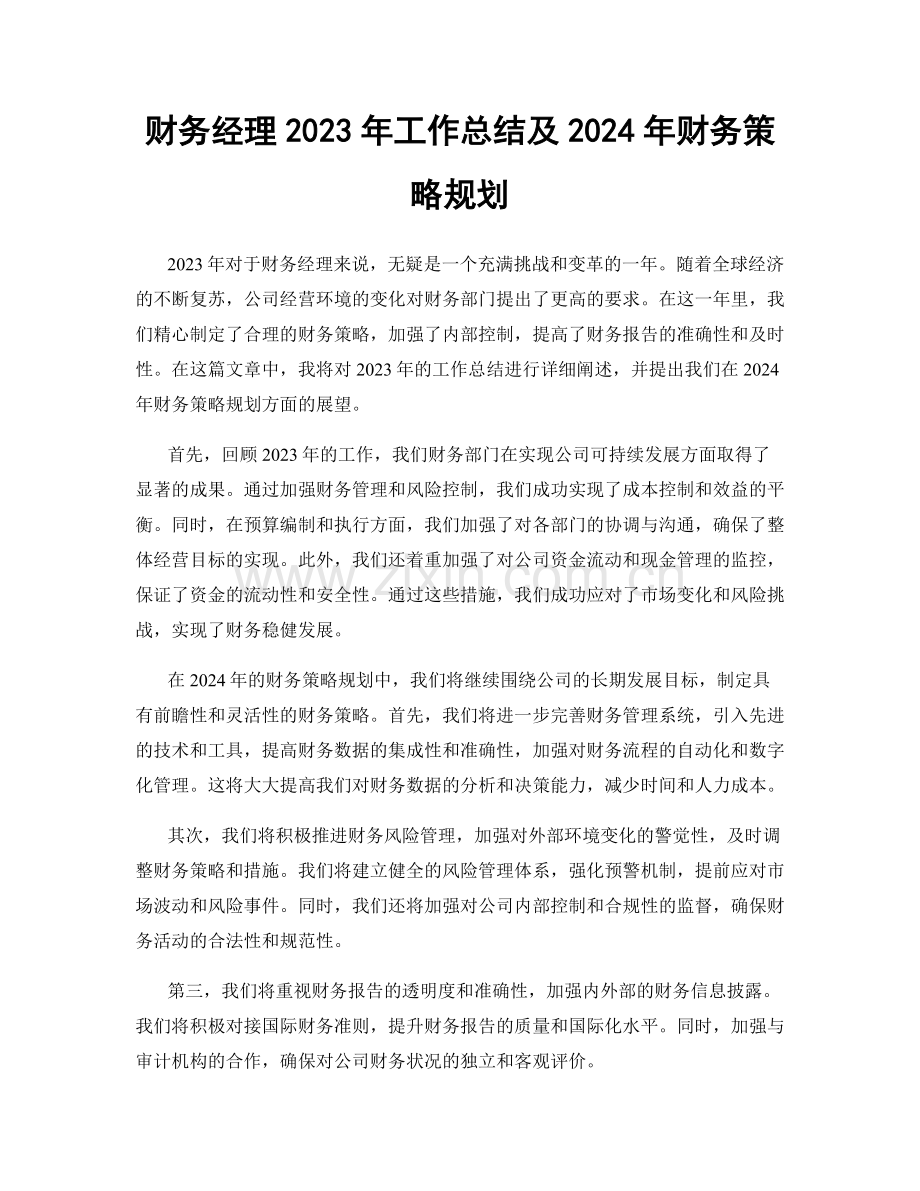 财务经理2023年工作总结及2024年财务策略规划.docx_第1页