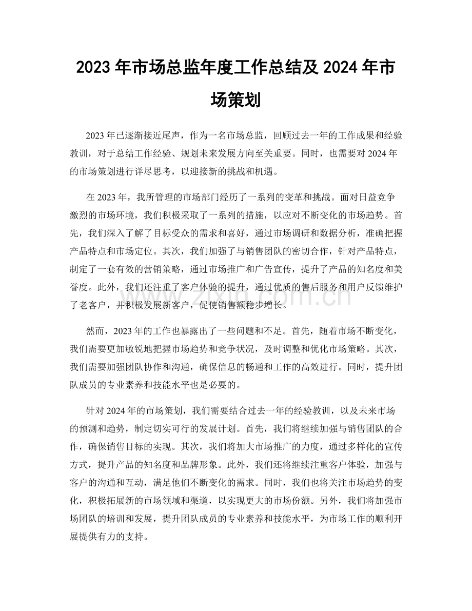 2023年市场总监年度工作总结及2024年市场策划.docx_第1页