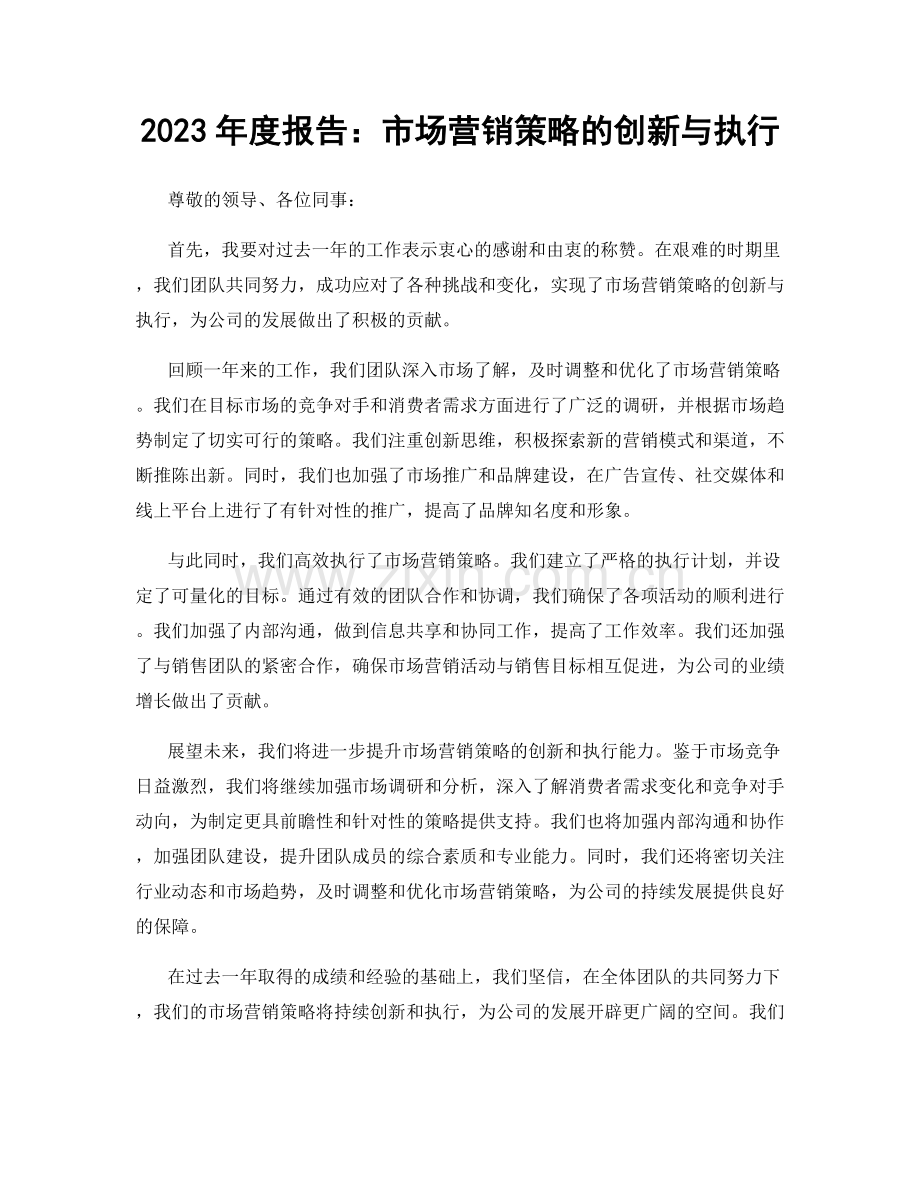 2023年度报告：市场营销策略的创新与执行.docx_第1页