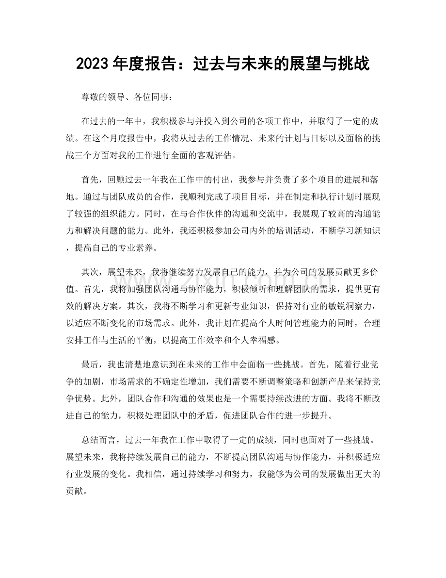 2023年度报告：过去与未来的展望与挑战.docx_第1页
