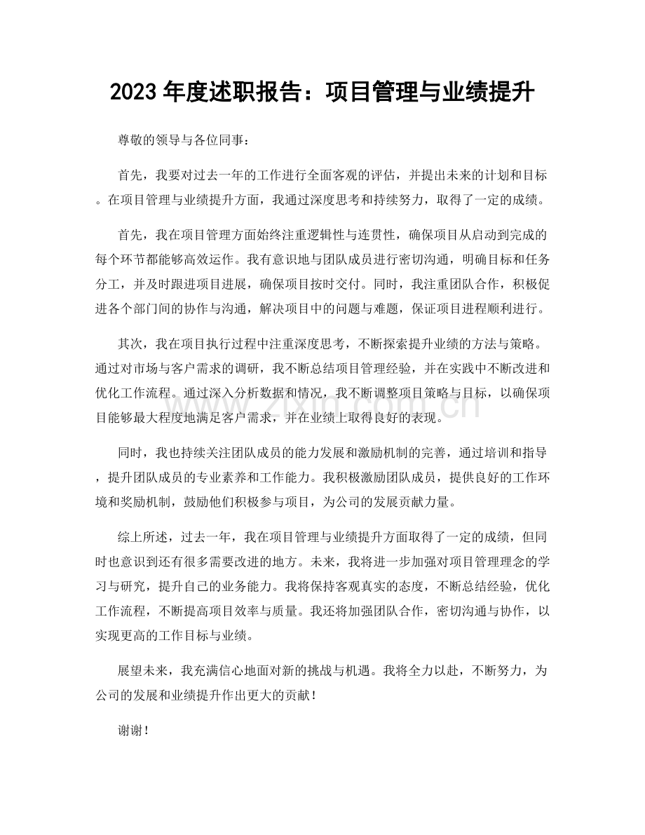 2023年度述职报告：项目管理与业绩提升.docx_第1页