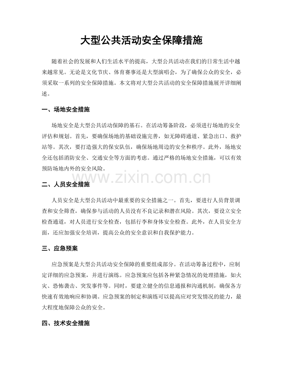 大型公共活动安全保障措施.docx_第1页