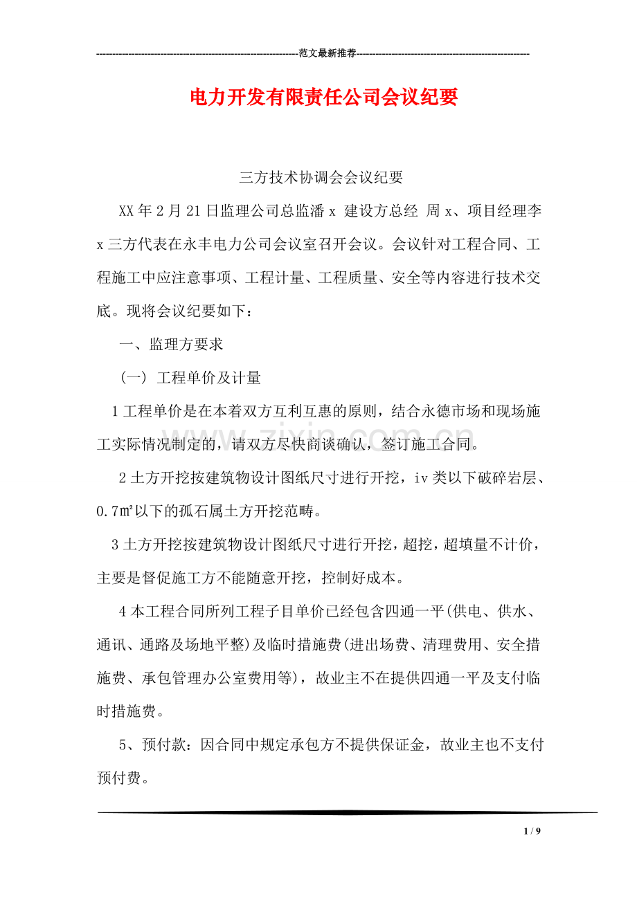 电力开发有限责任公司会议纪要.doc_第1页