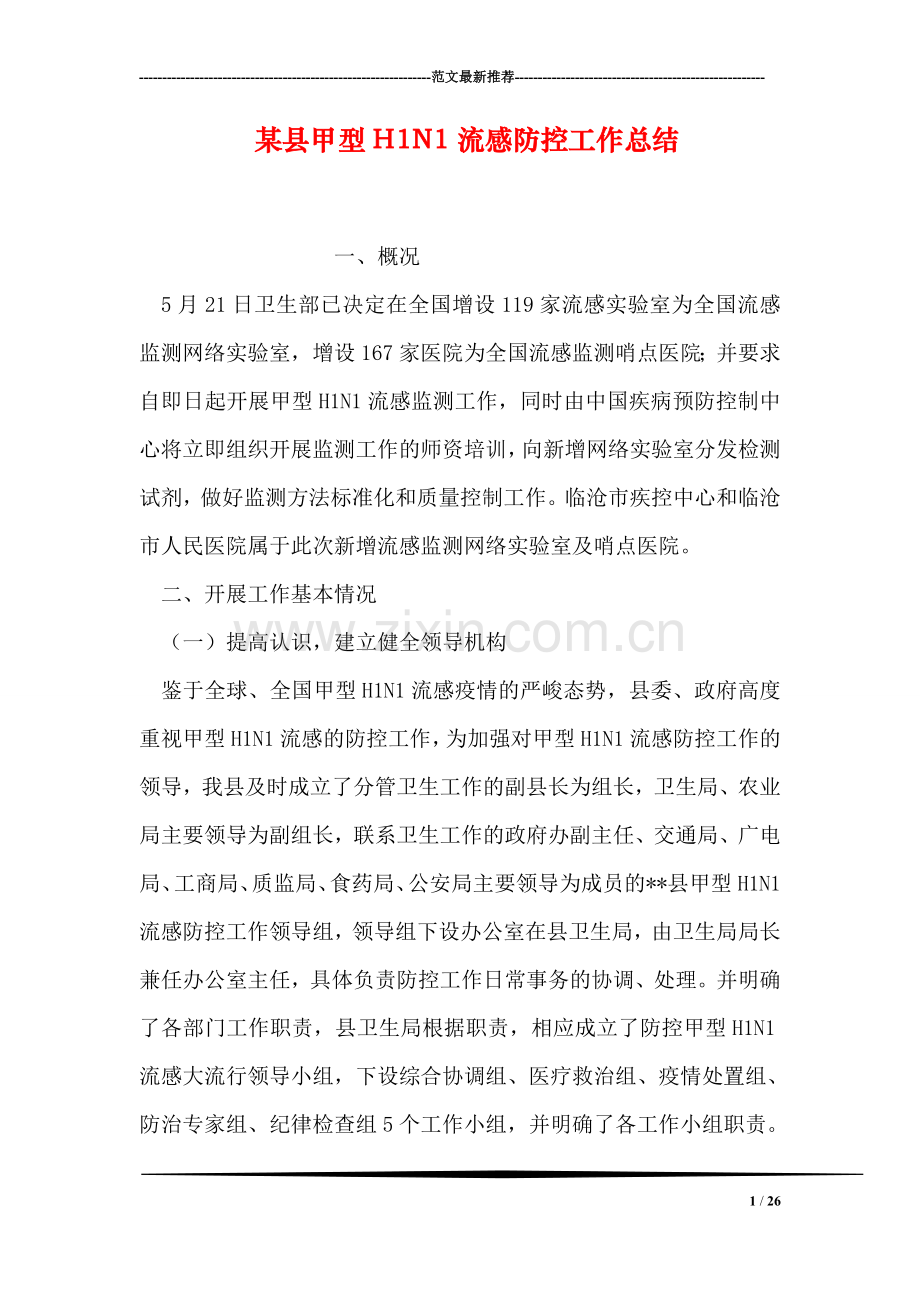 某县甲型H1N1流感防控工作总结.doc_第1页
