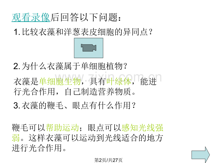 七年级科学显微镜下各种生物.pptx_第2页