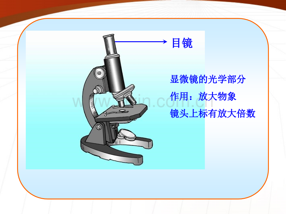 显微镜的构造和使用.pptx_第2页