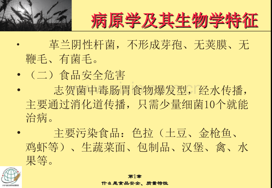 志贺菌大肠杆菌霍乱.pptx_第2页