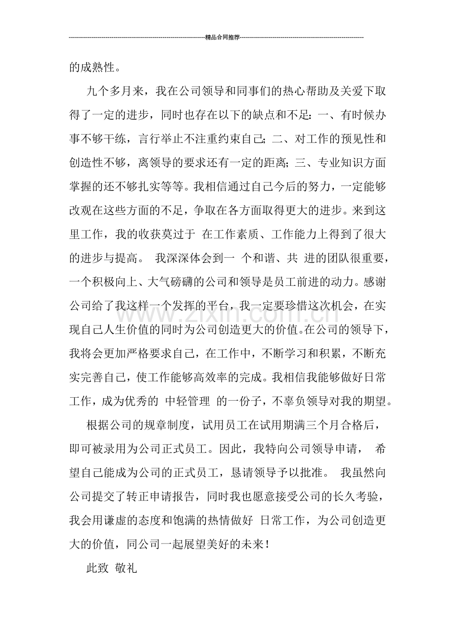 监理员试用期转正工作总结报告.doc_第2页