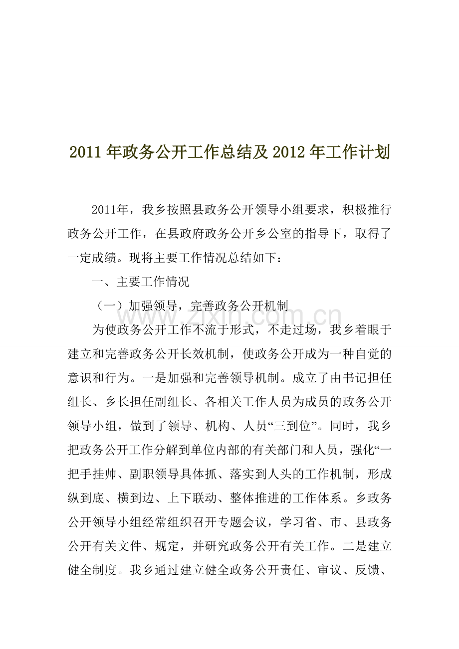 政务公开工作计划及总结.doc_第1页