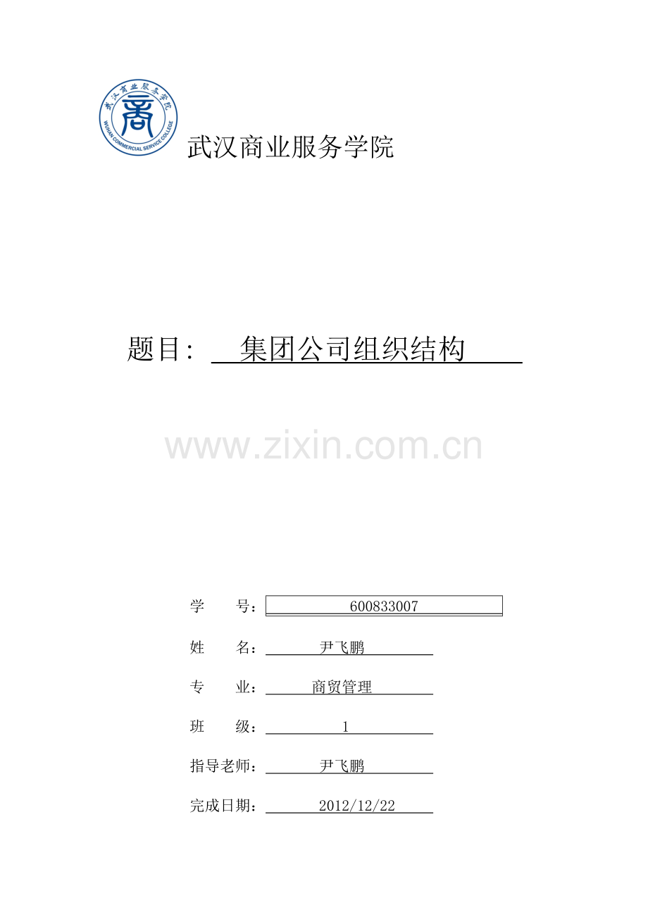 武汉商业服务学院集团公司组织结构论文.doc_第1页