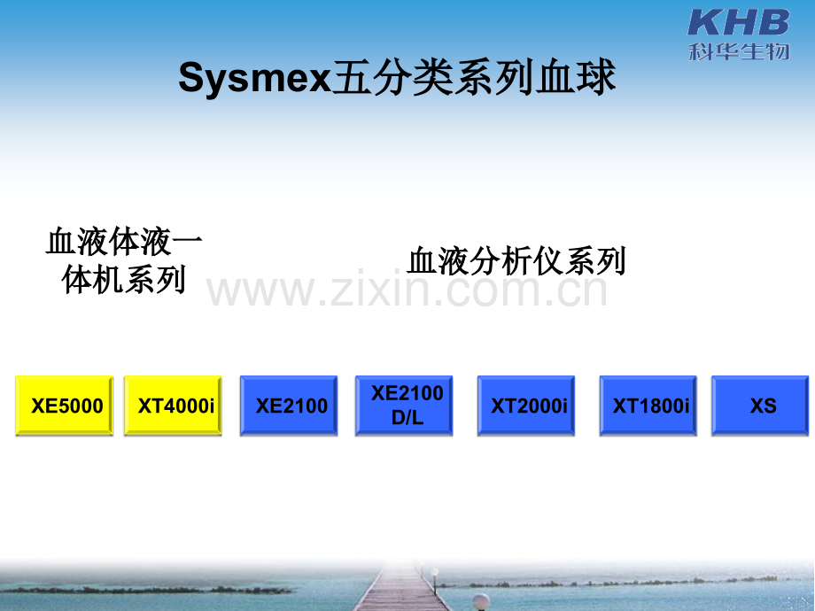 SYSMEX五分类血球检测原理1.pptx_第1页
