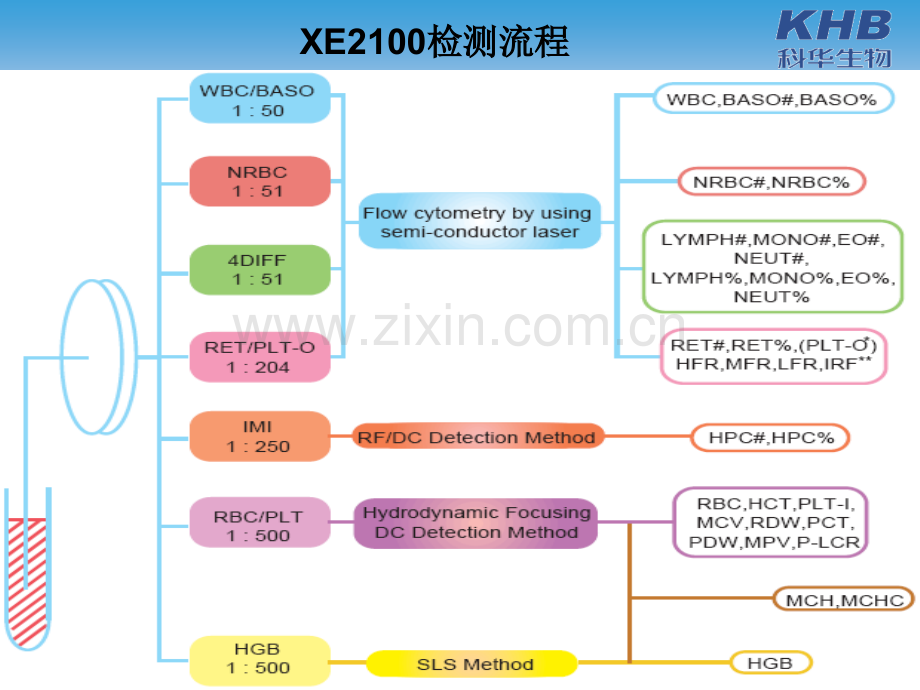 SYSMEX五分类血球检测原理1.pptx_第2页