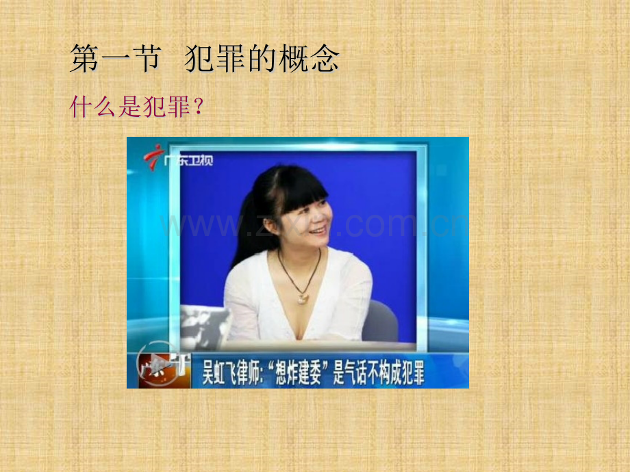 犯罪概念.pptx_第2页