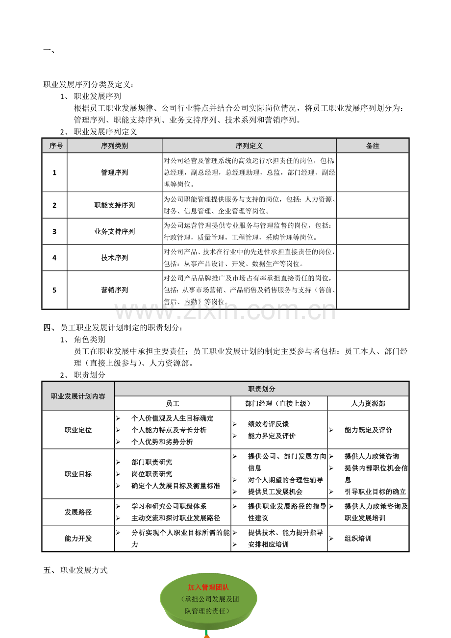 晋升管理制度补充：职业发展分类.doc_第1页