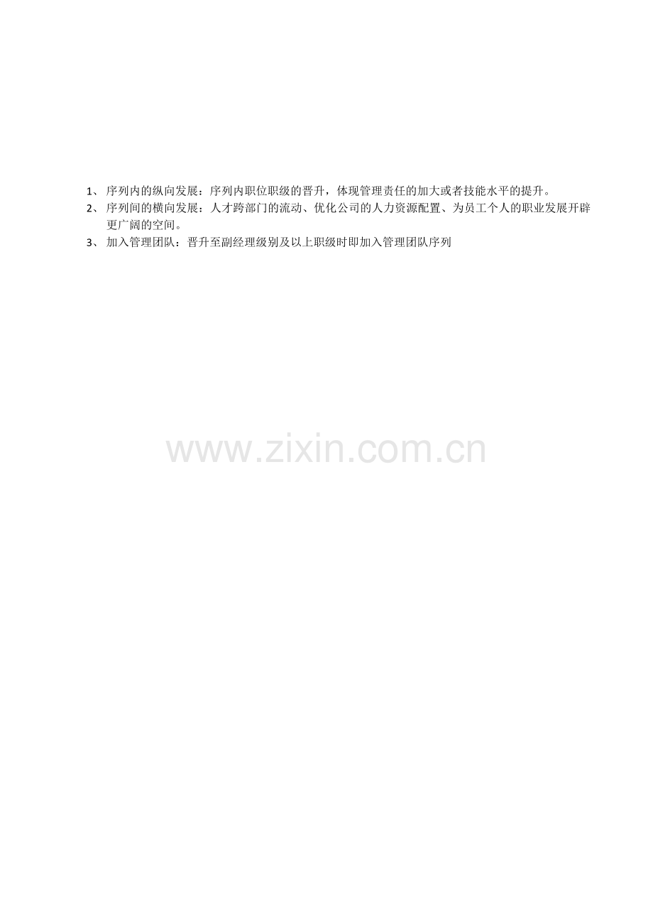 晋升管理制度补充：职业发展分类.doc_第2页