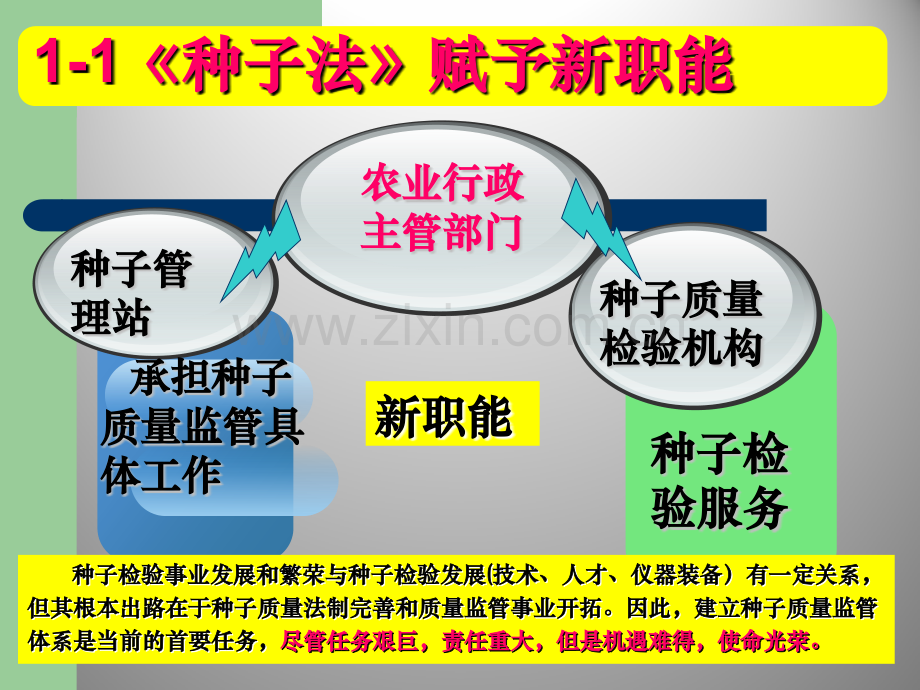 种子监管与检验.pptx_第2页