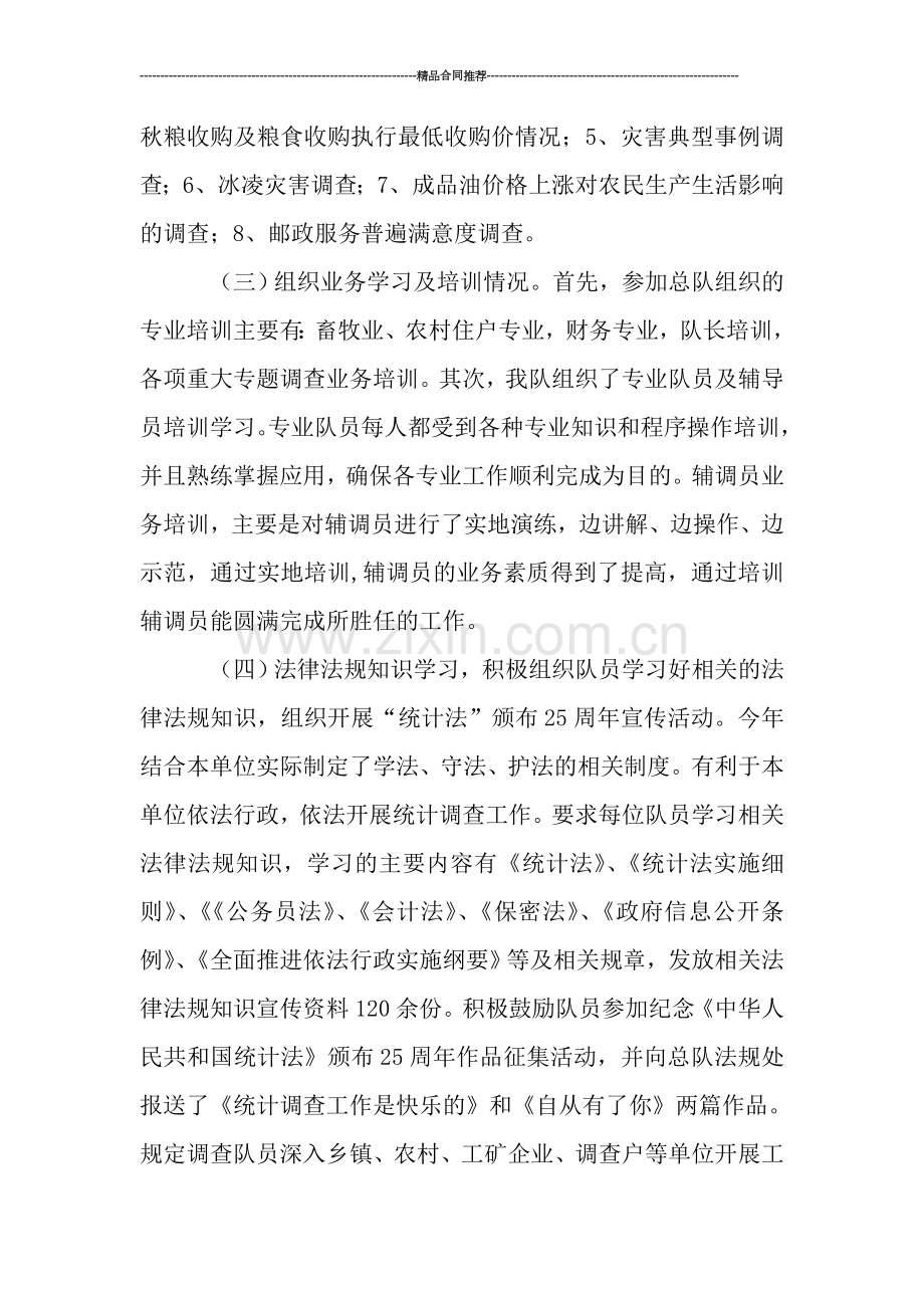 统计局调查队年终总结-工作总结.doc_第2页