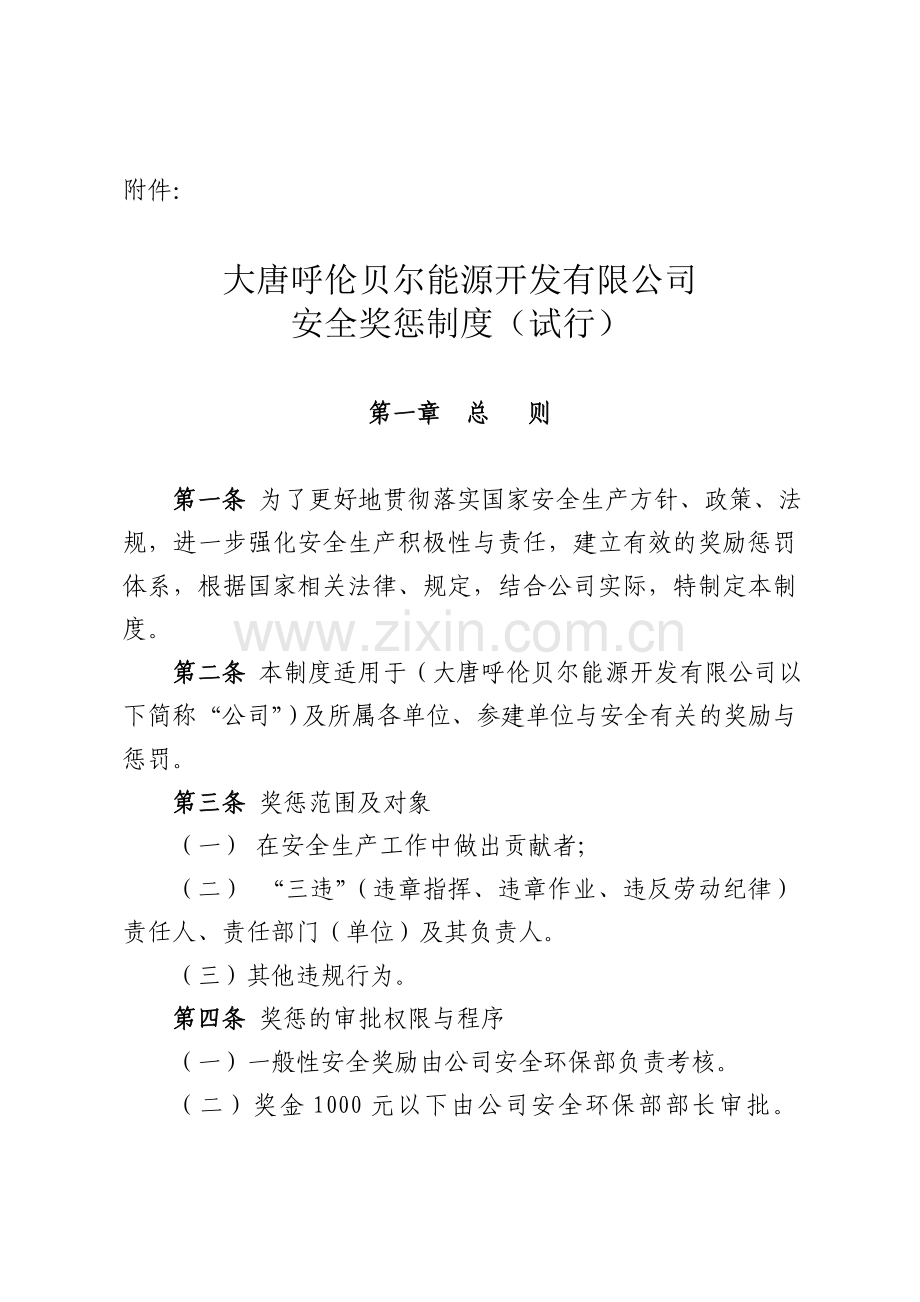 大唐呼伦贝尔能源开发有限公司安全奖惩制度(试行)..doc_第1页