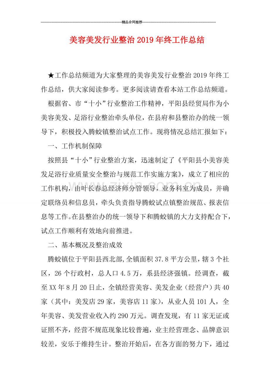 美容美发行业整治2019年终工作总结.doc_第1页