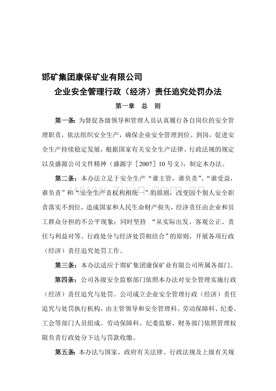 企业安全管理行政(经济)责任追究处罚办法..doc_第1页