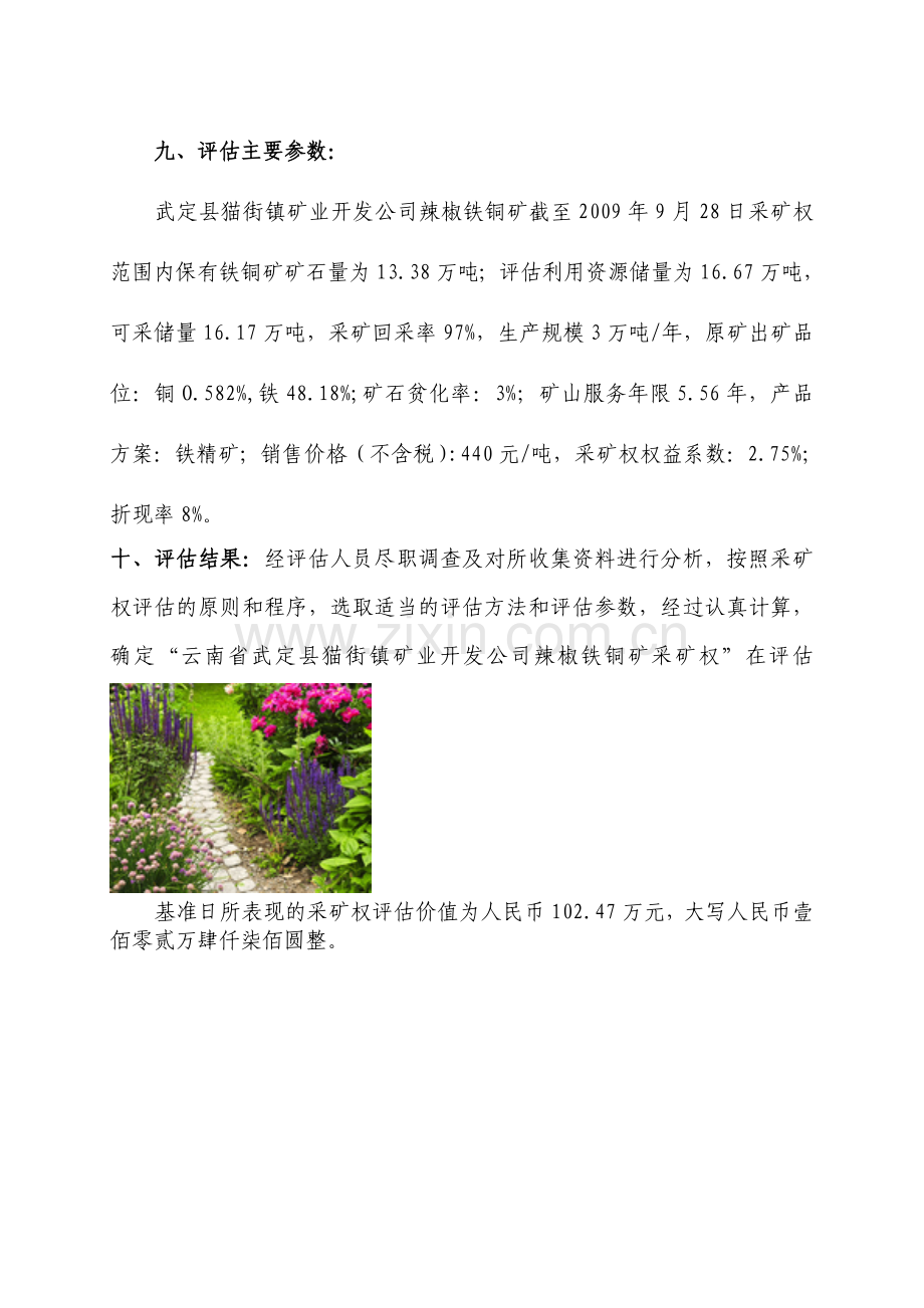 云南省武定县猫街镇矿业开发公司辣椒铁铜矿采矿权评估报告书摘要(川立评字〔2010〕033号).doc_第2页