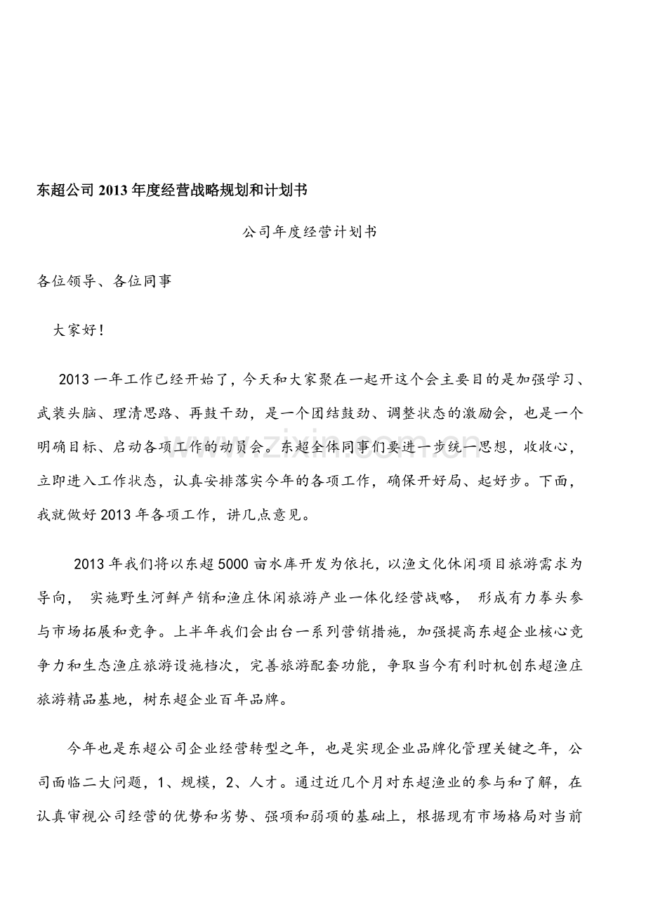 公司2013年度经营战略规划和计划书.doc_第1页