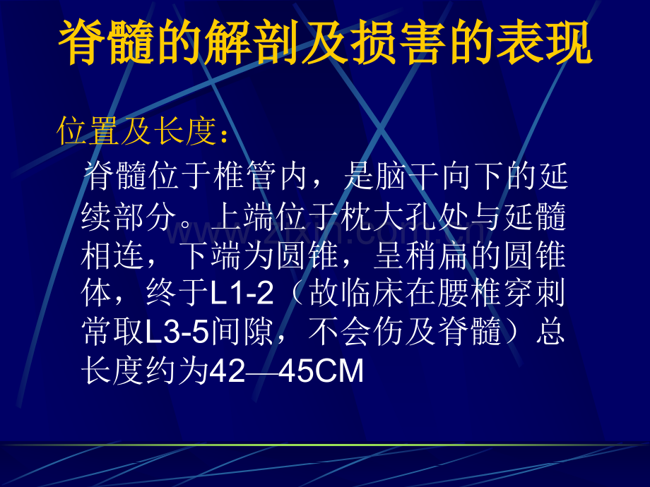 临床医学脊髓疾病.pptx_第2页
