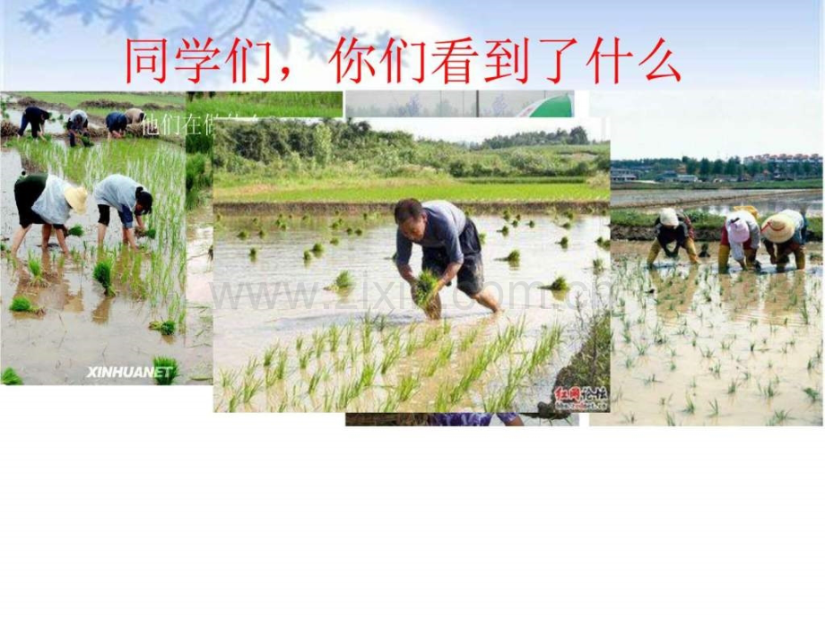 珍惜粮食图文1716116759.pptx_第2页