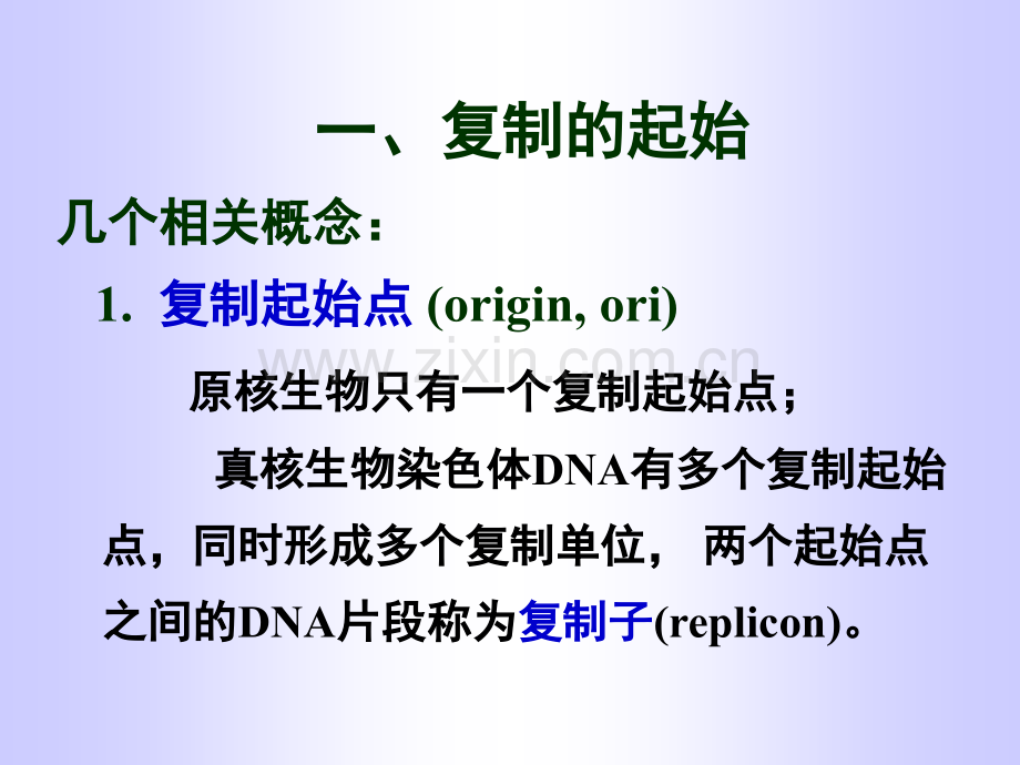 DNA生物合成过程.pptx_第2页