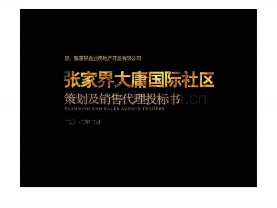 张家界大庸国际社区项目销售代理前期策划.pptx_第1页