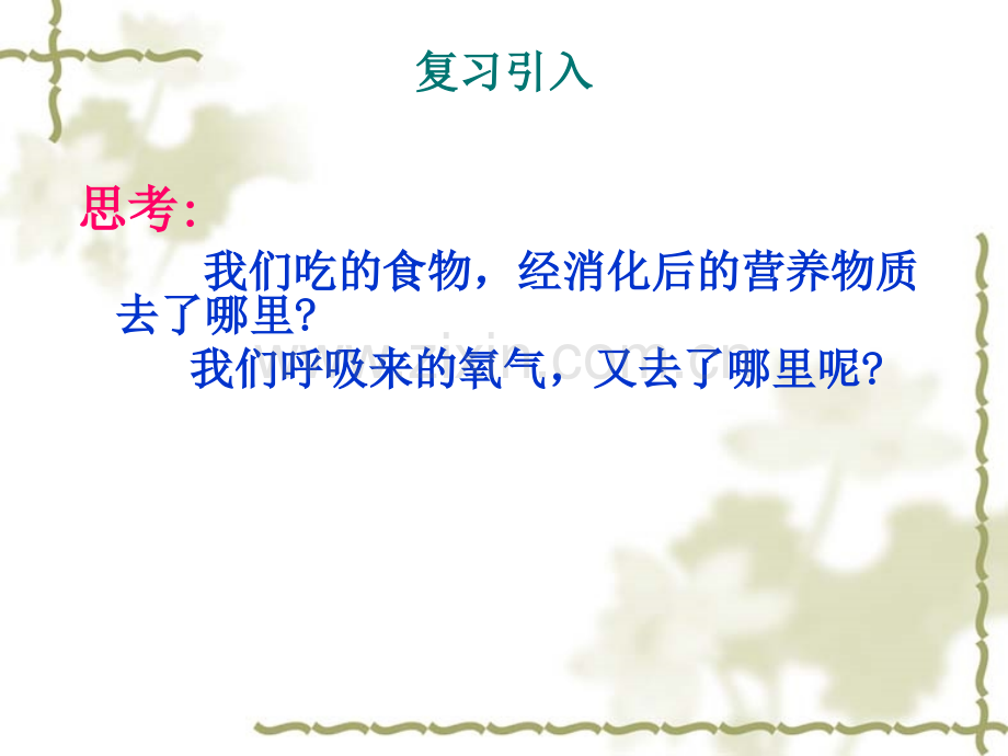 人体的血液和血管.pptx_第1页