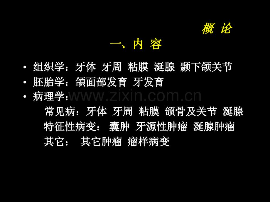概论釉质.pptx_第1页
