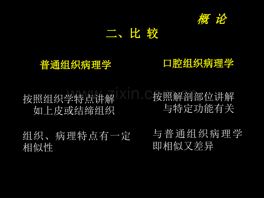 概论釉质.pptx_第2页