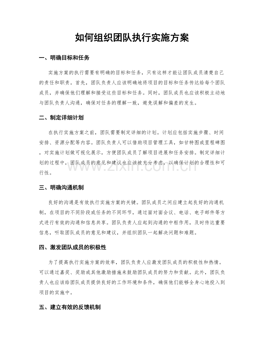 如何组织团队执行实施方案.docx_第1页